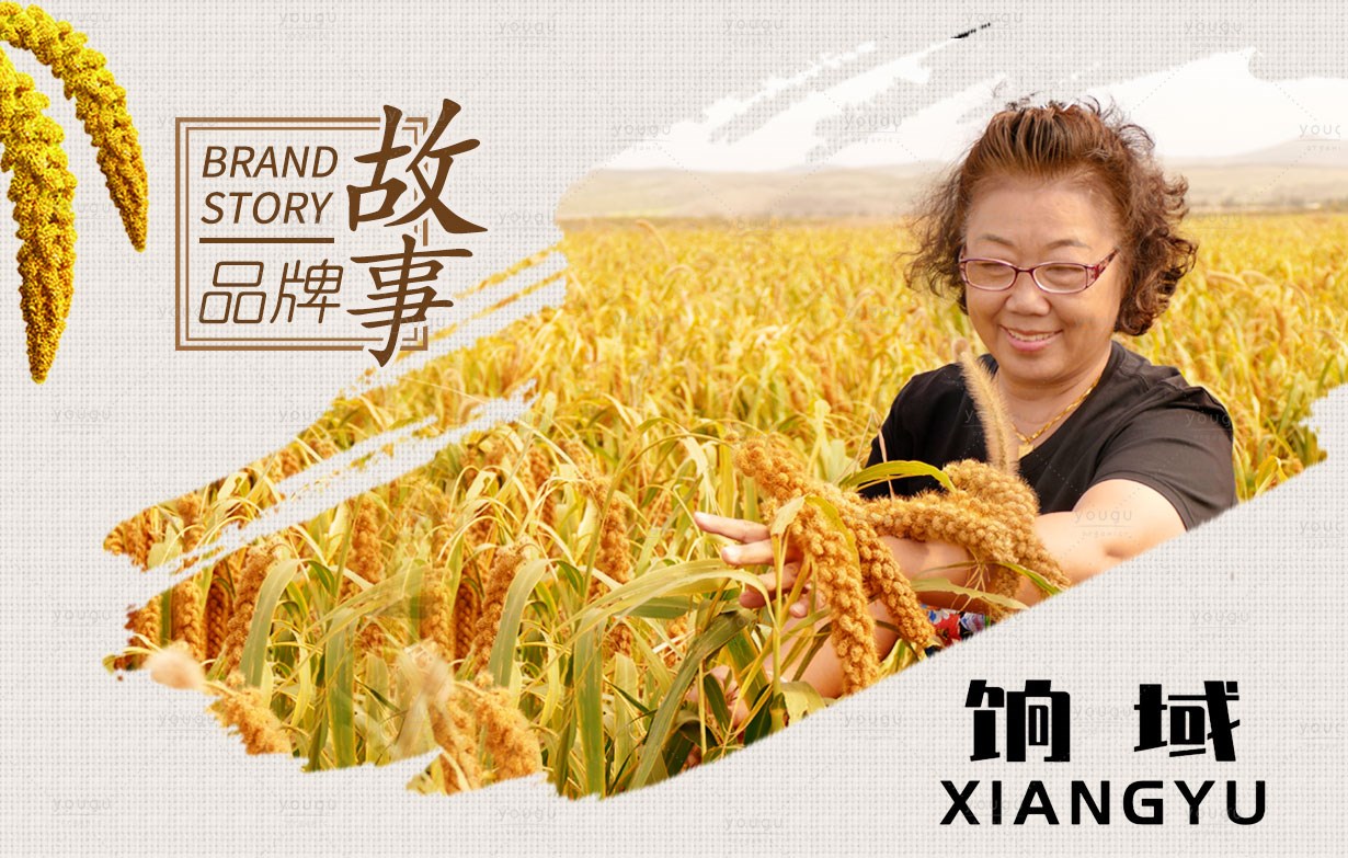餉域牌金苗毛毛谷，原生態(tài)小米！